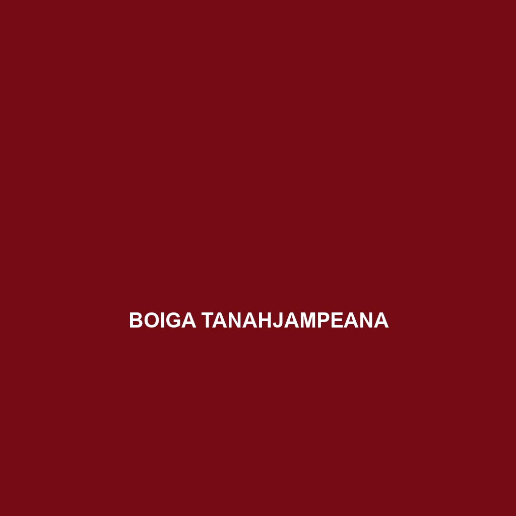 Boiga tanahjampeana