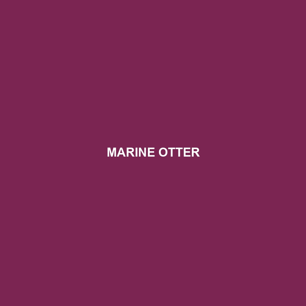 Marine Otter