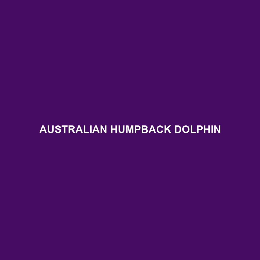 Australian Humpback Dolphin