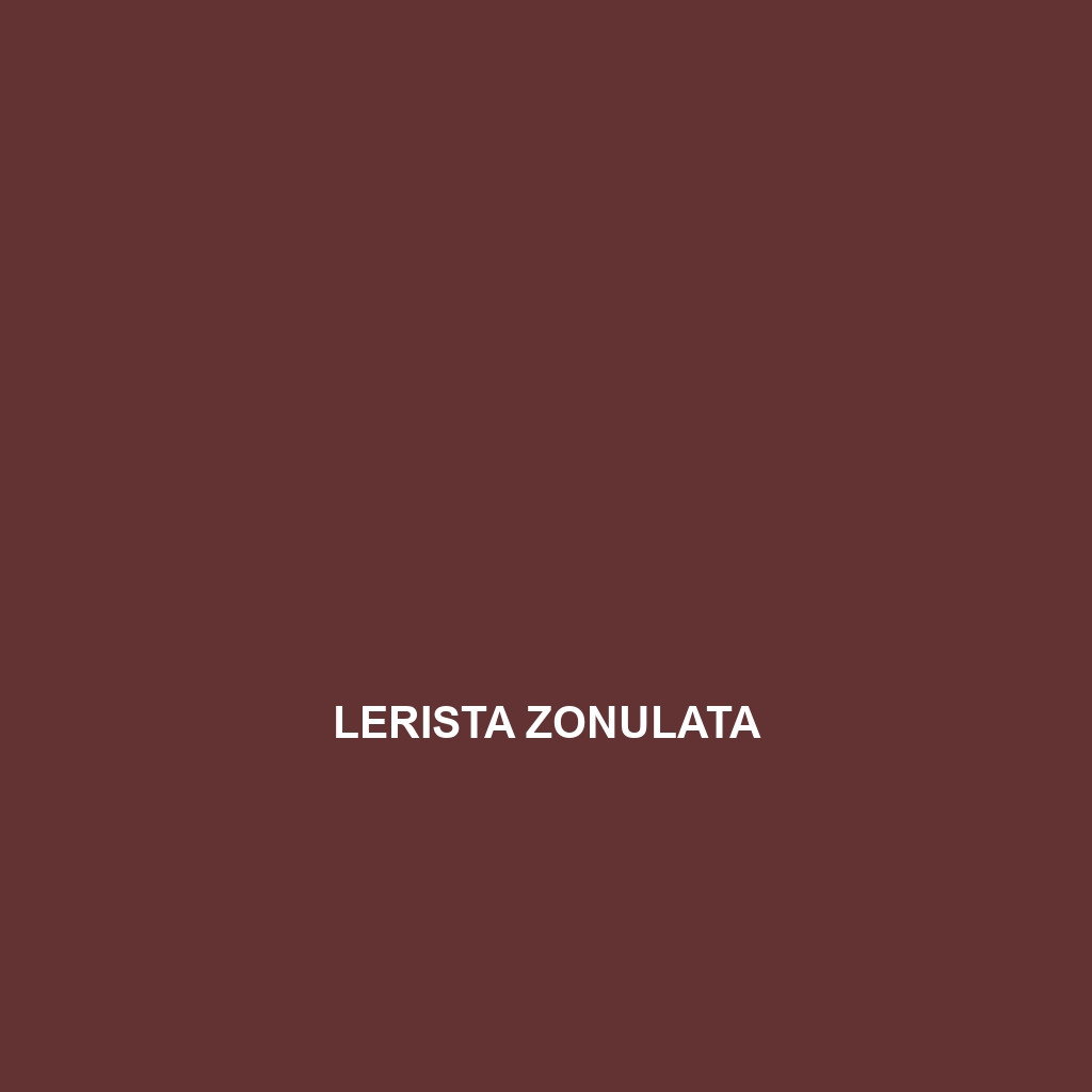 Lerista zonulata