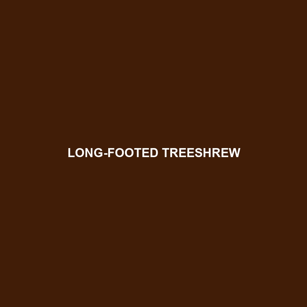 Long-footed Treeshrew