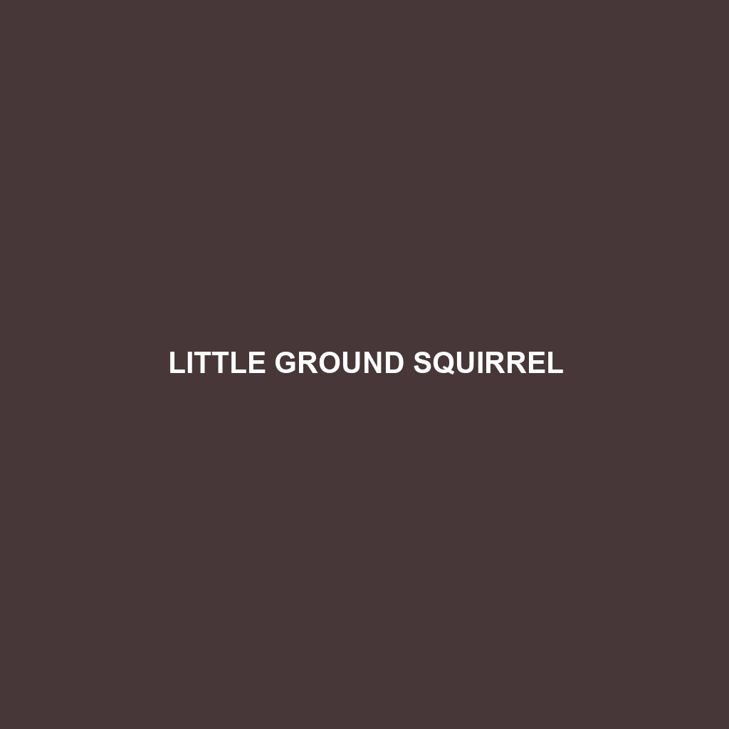 Little Ground Squirrel