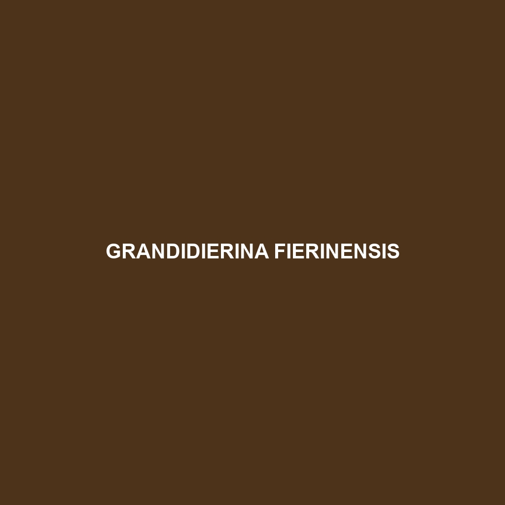 Grandidierina fierinensis