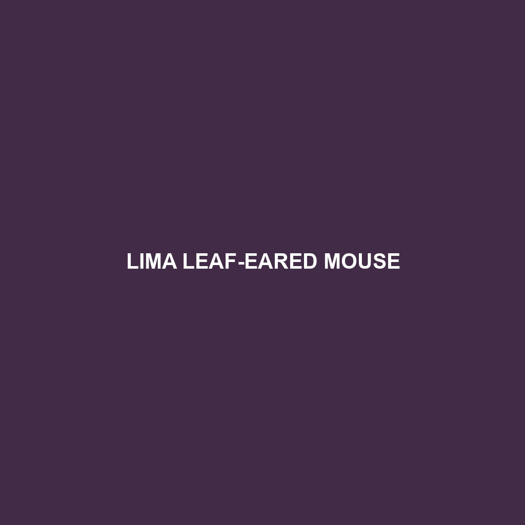 Lima Leaf-eared Mouse