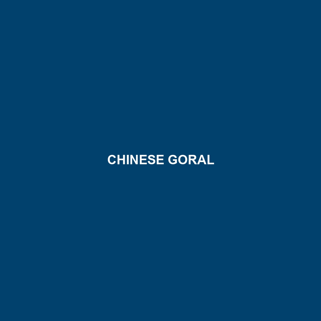 Chinese Goral