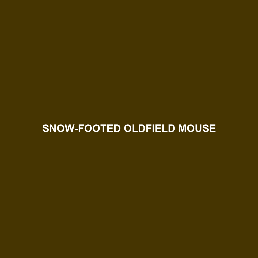 Snow-footed Oldfield Mouse