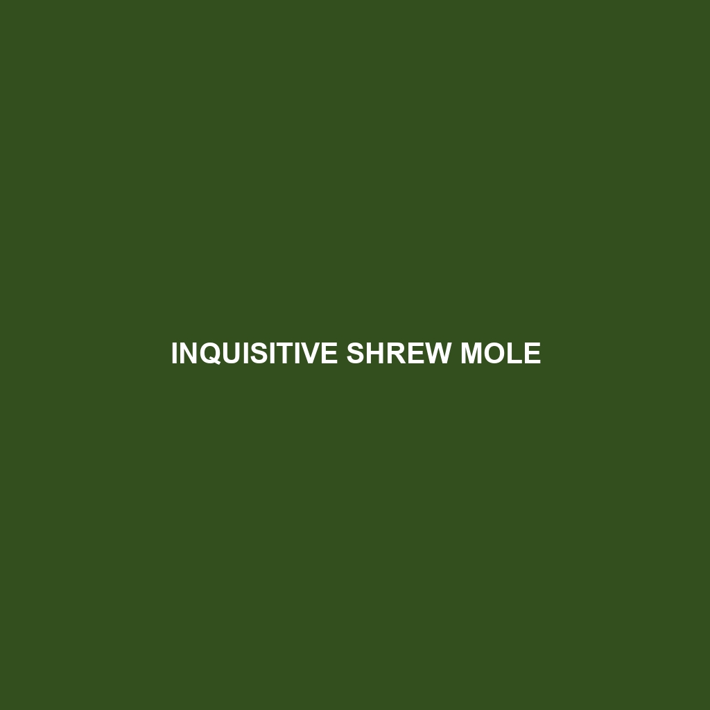 Inquisitive Shrew Mole