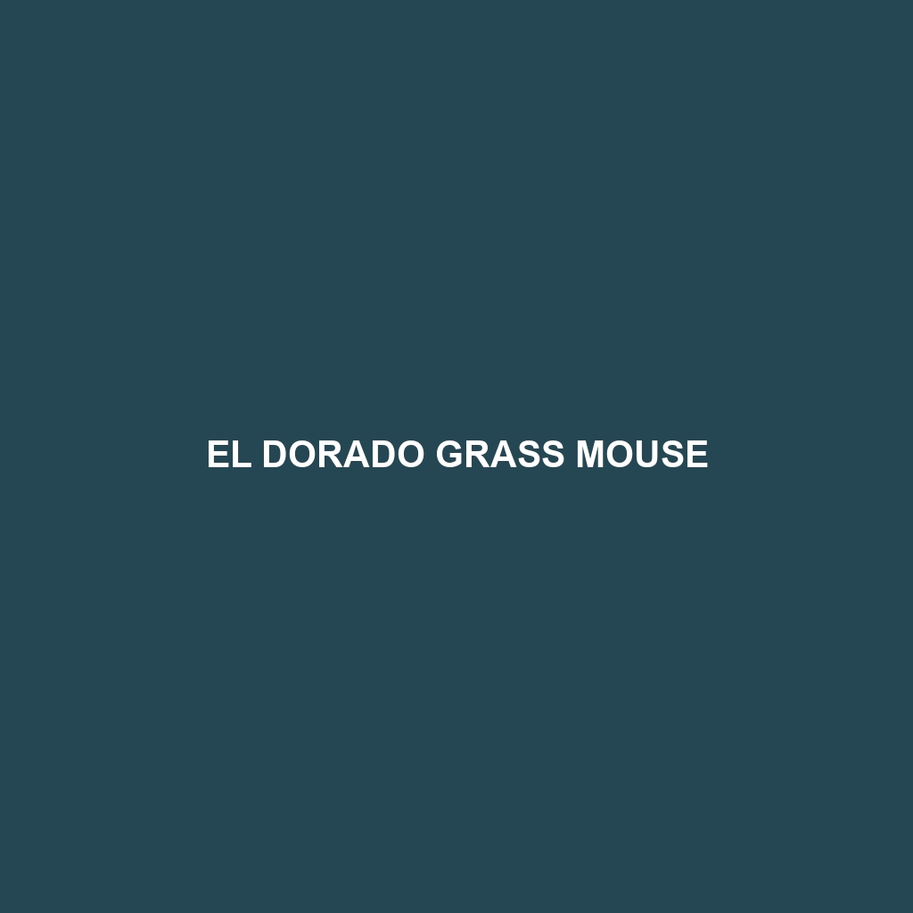 El Dorado Grass Mouse