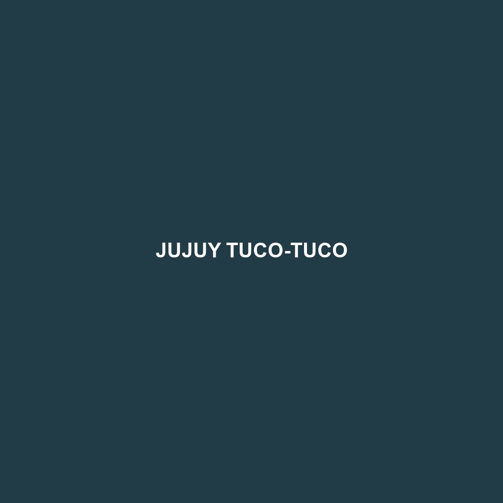 Jujuy Tuco-tuco