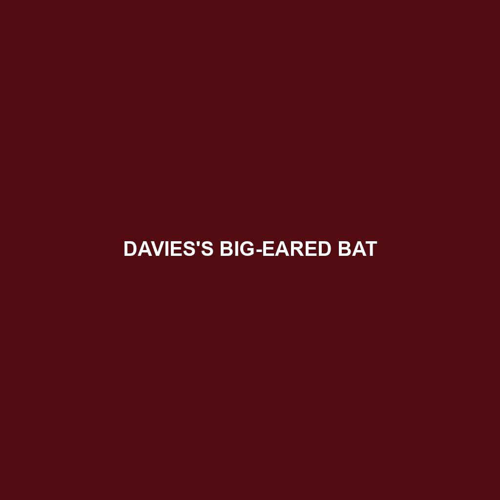 Davies's Big-eared Bat