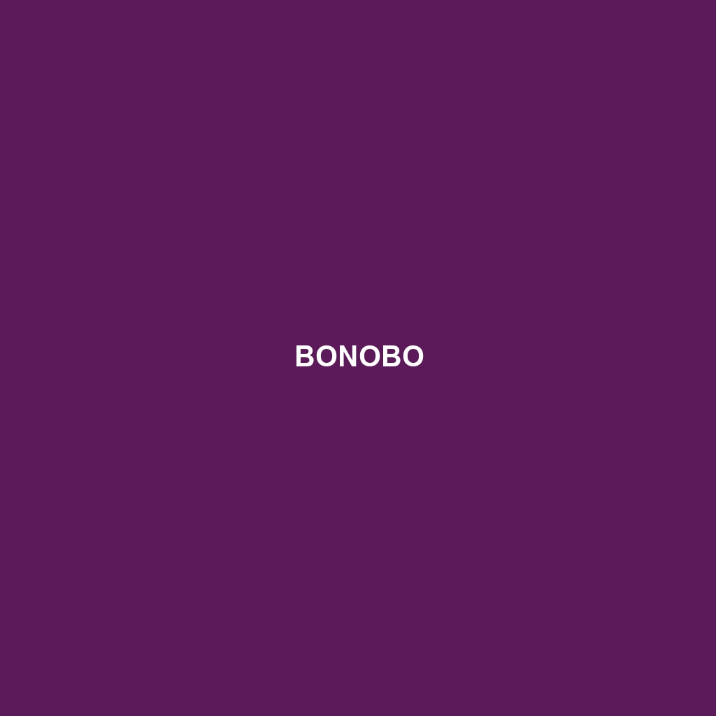 Bonobo