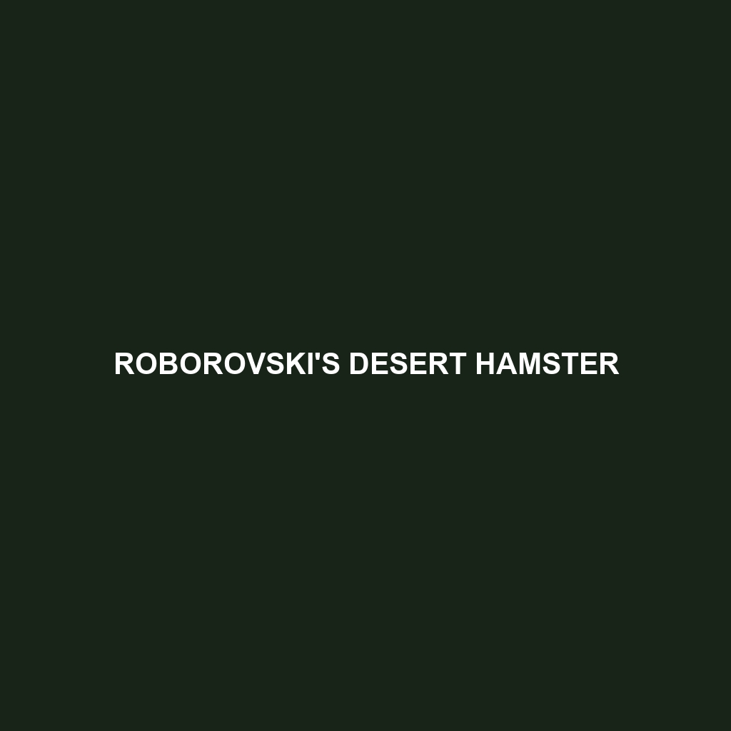 Roborovski's Desert Hamster