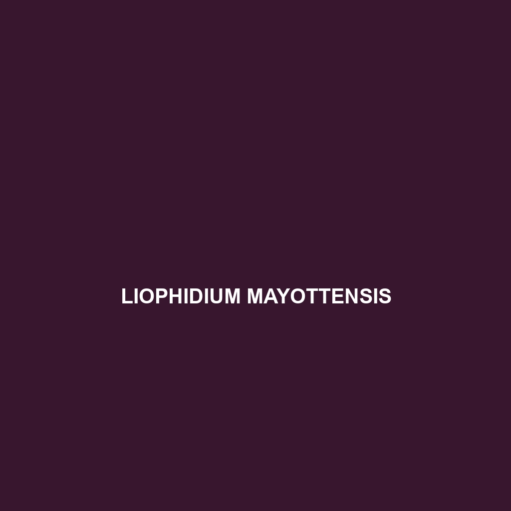 Liophidium mayottensis