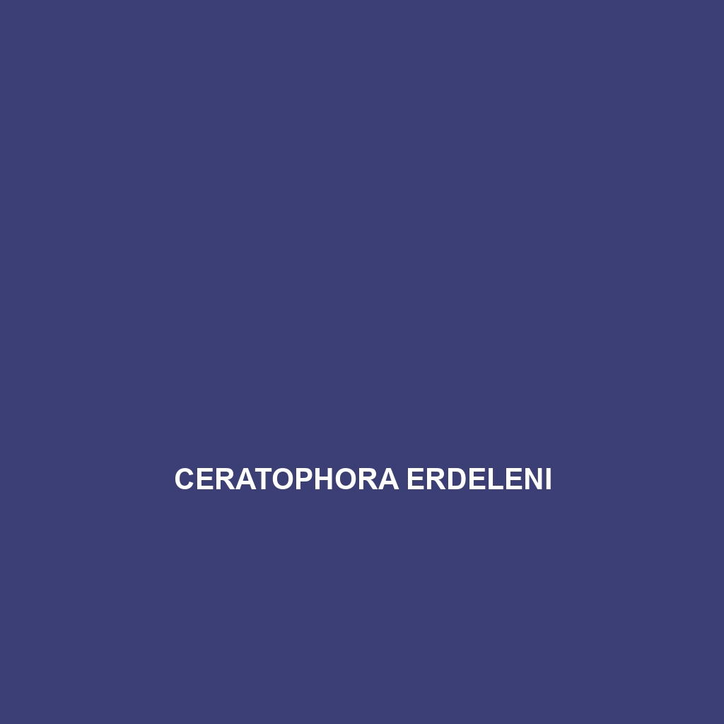 Ceratophora erdeleni