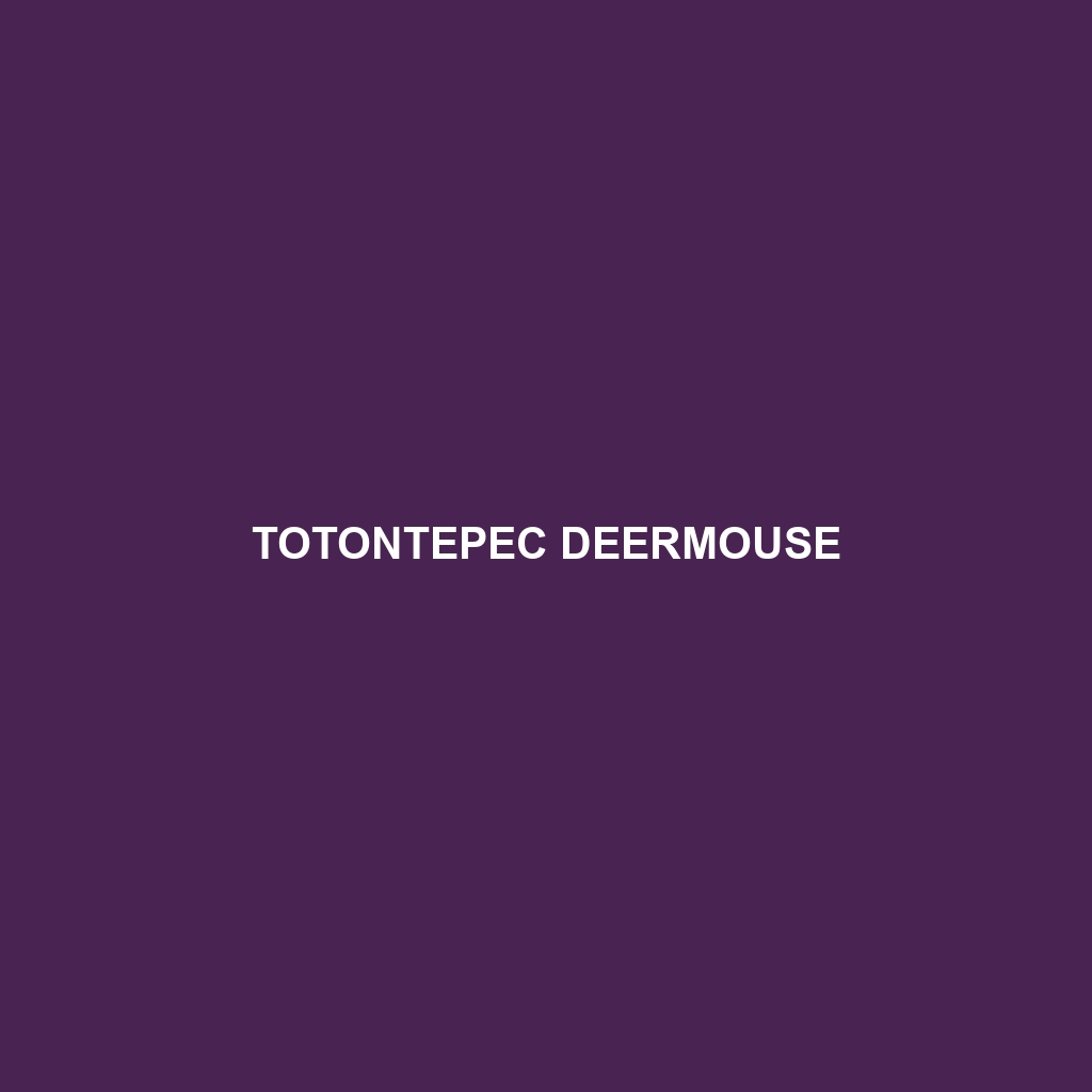 Totontepec Deermouse