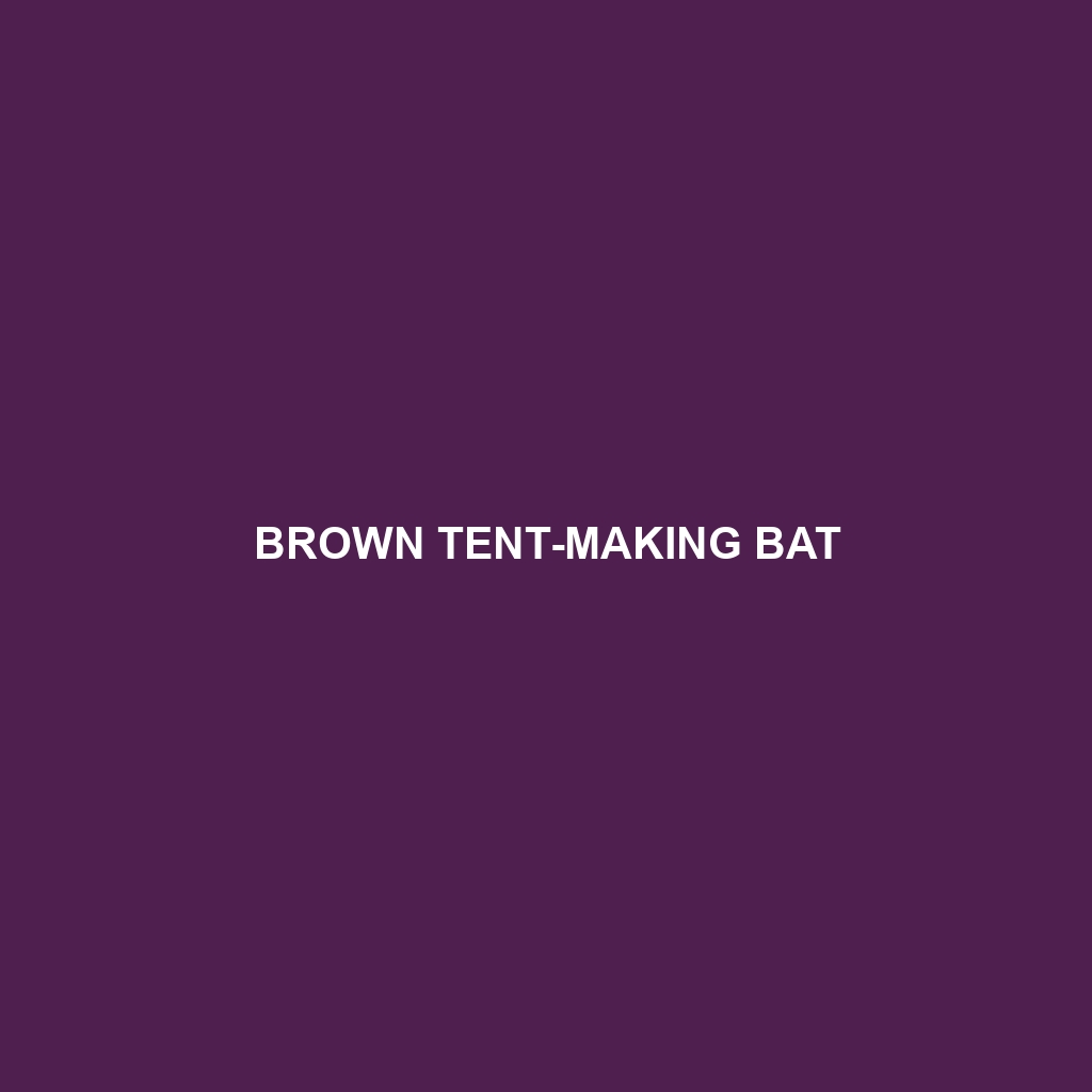 Brown Tent-making Bat