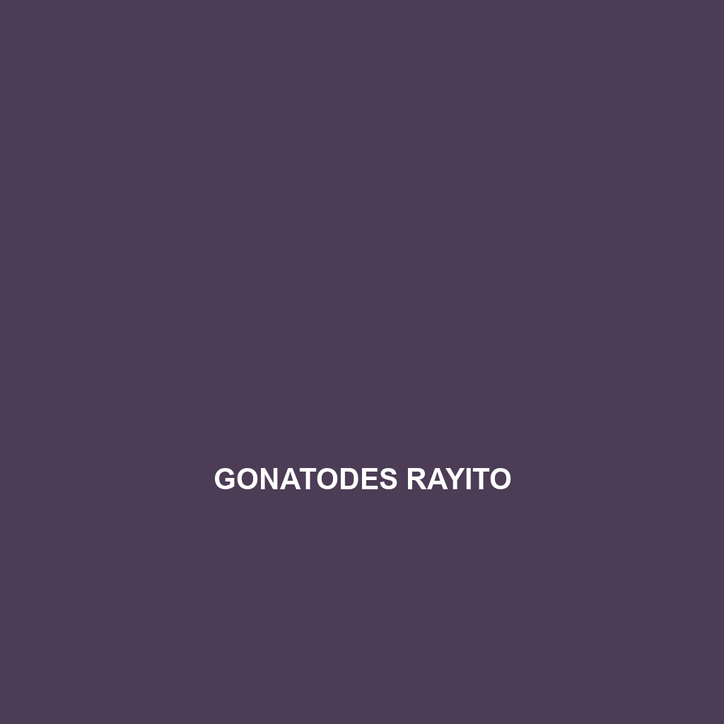 Gonatodes rayito