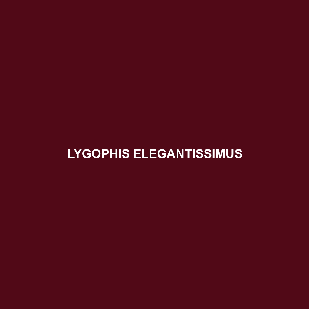 Lygophis elegantissimus