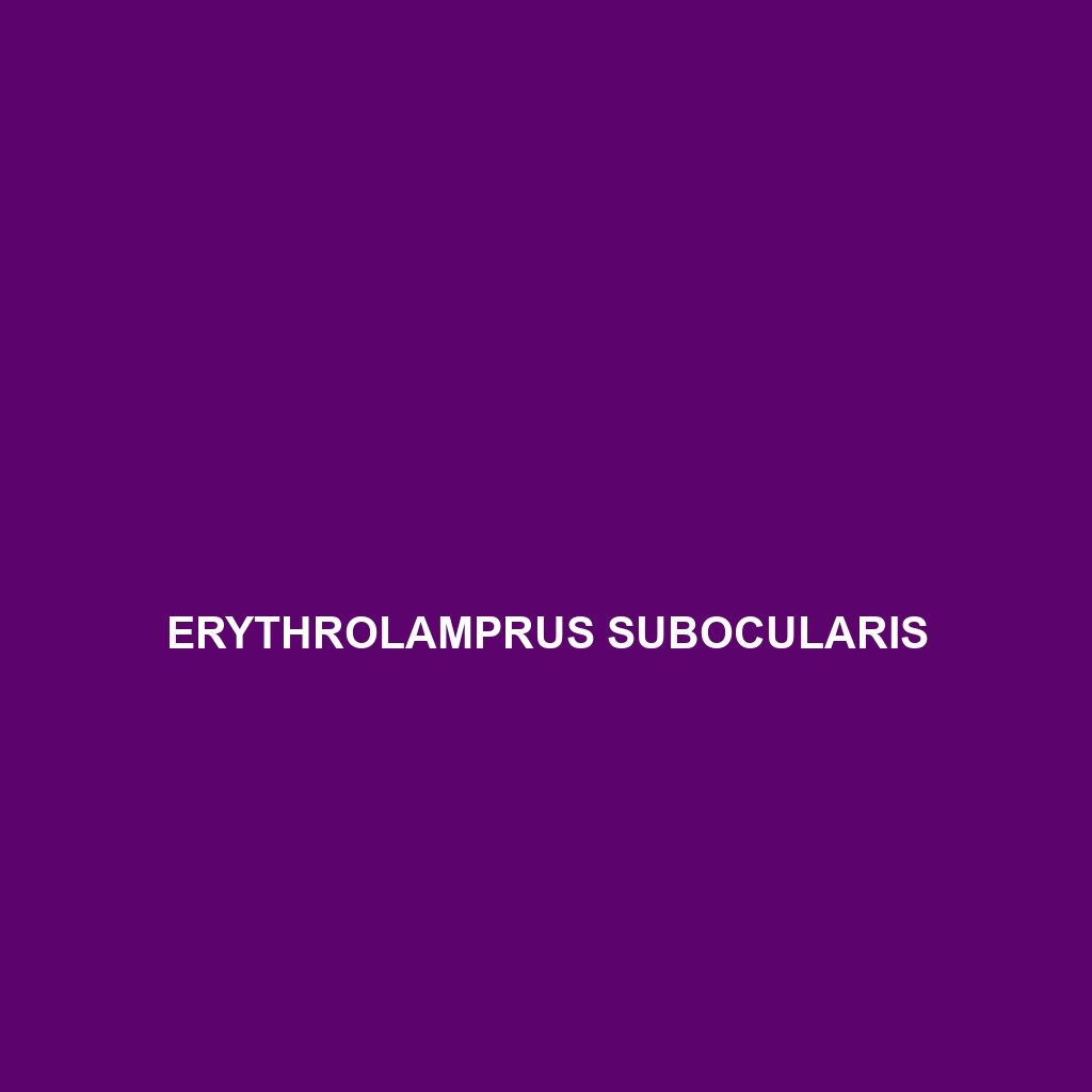 Erythrolamprus subocularis