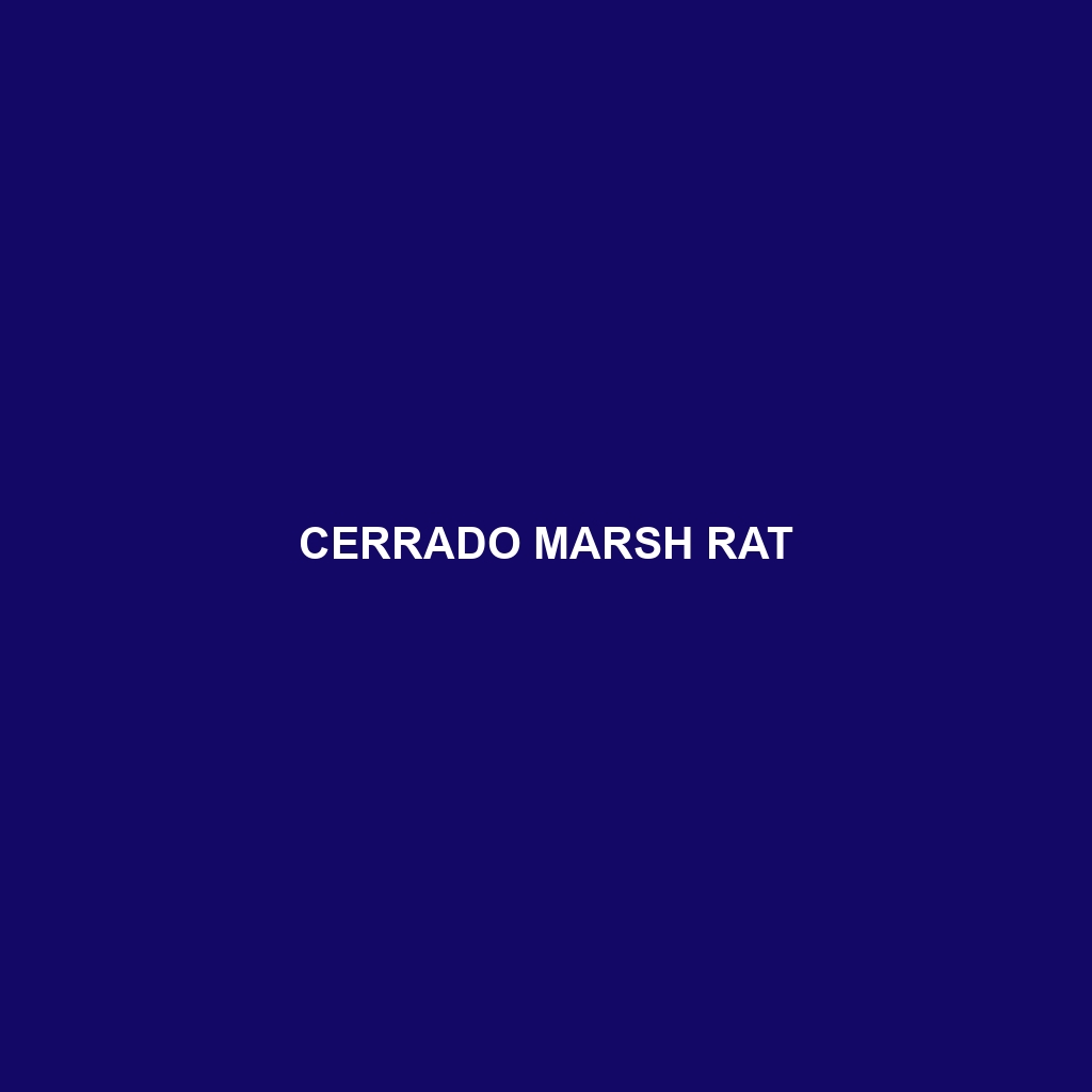 Cerrado Marsh Rat