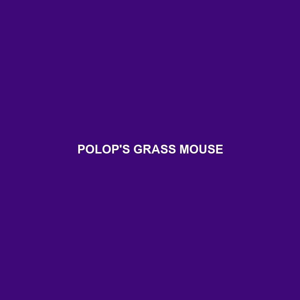 Reig's Grass Mouse