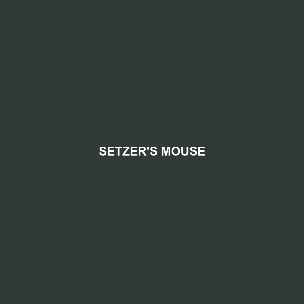 Setzer's Mouse