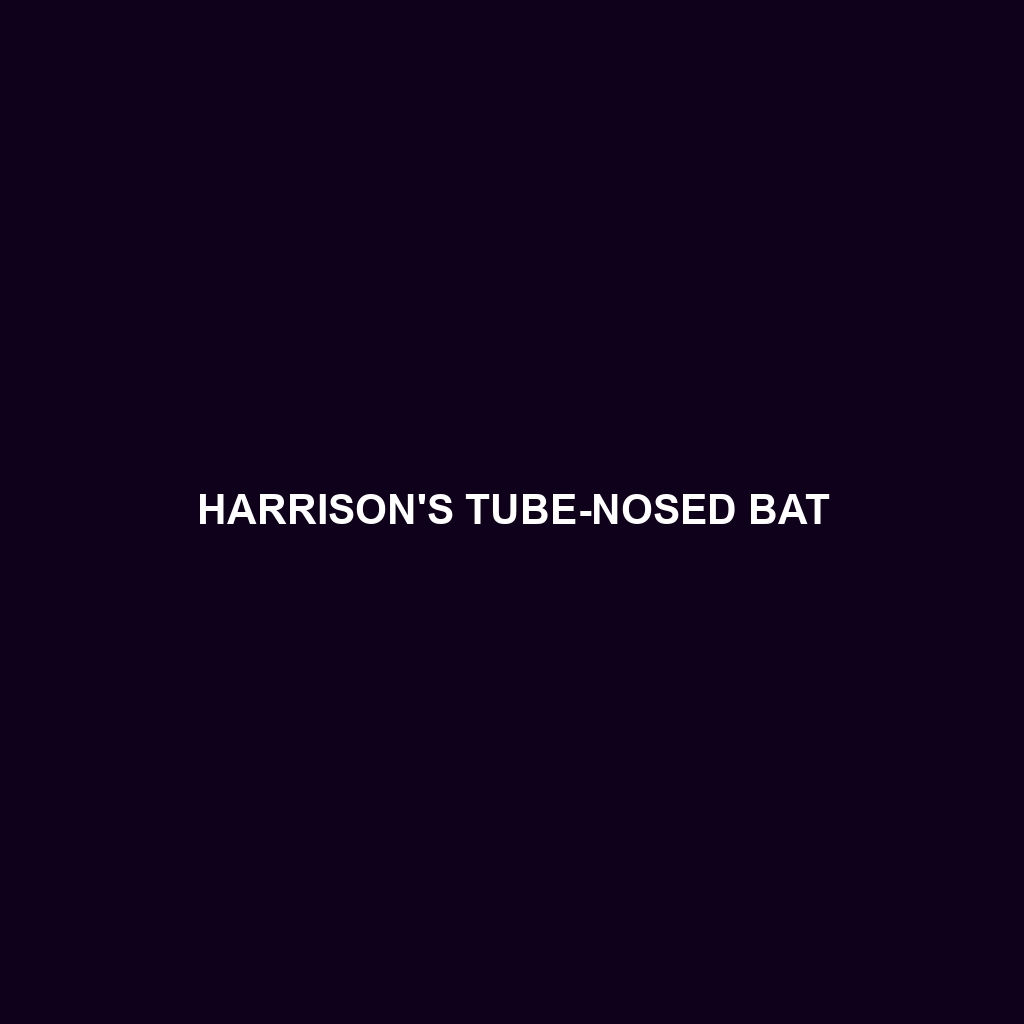 Harrison's Tube-nosed Bat