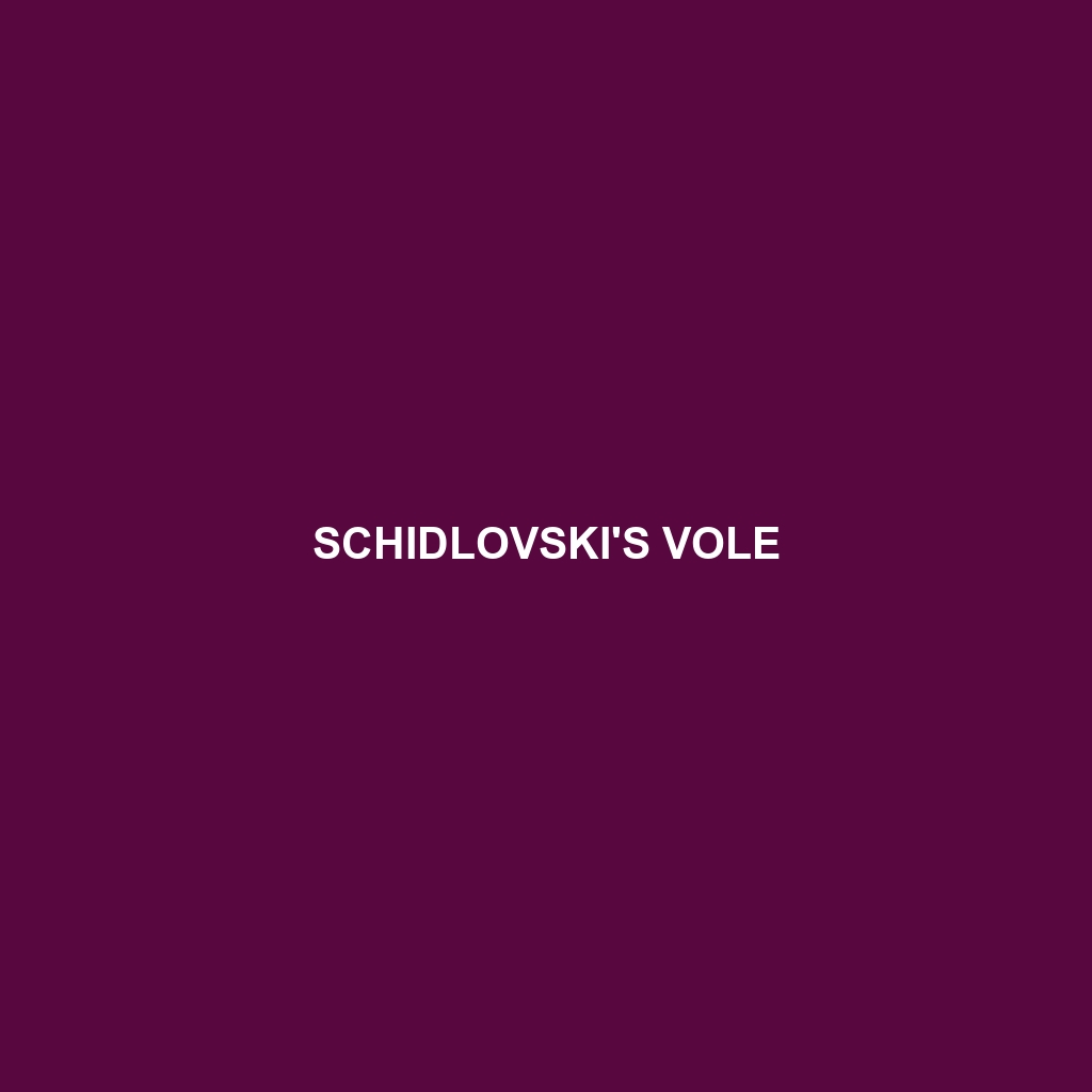 Schidlovski's Vole