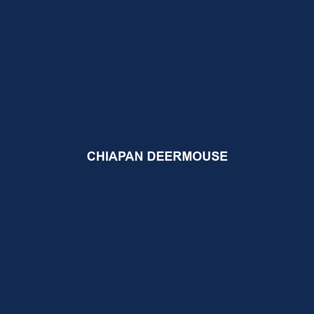 Chiapan Deermouse