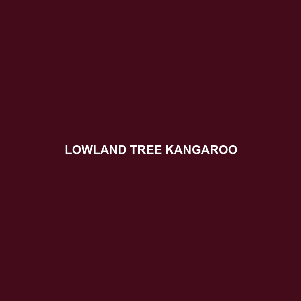 Lowland Tree Kangaroo