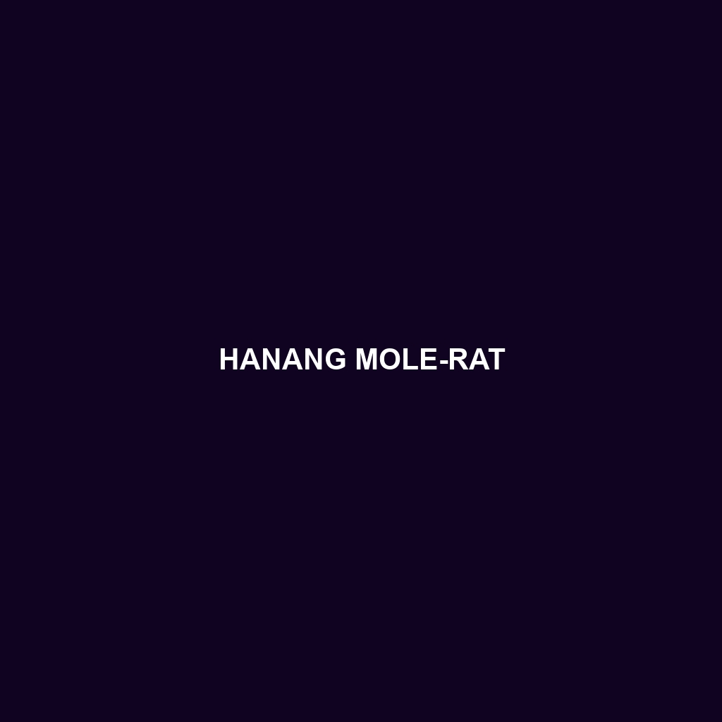 Hanang Mole-rat