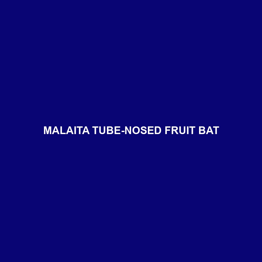 Malaita Tube-nosed Fruit Bat