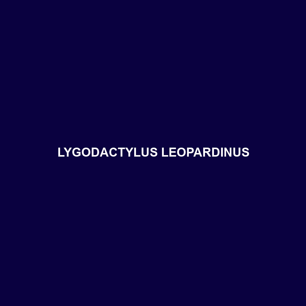 Lygodactylus leopardinus