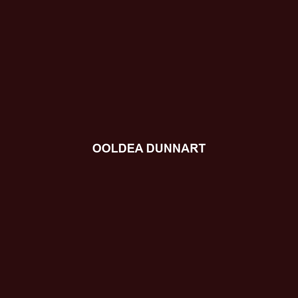 Ooldea Dunnart