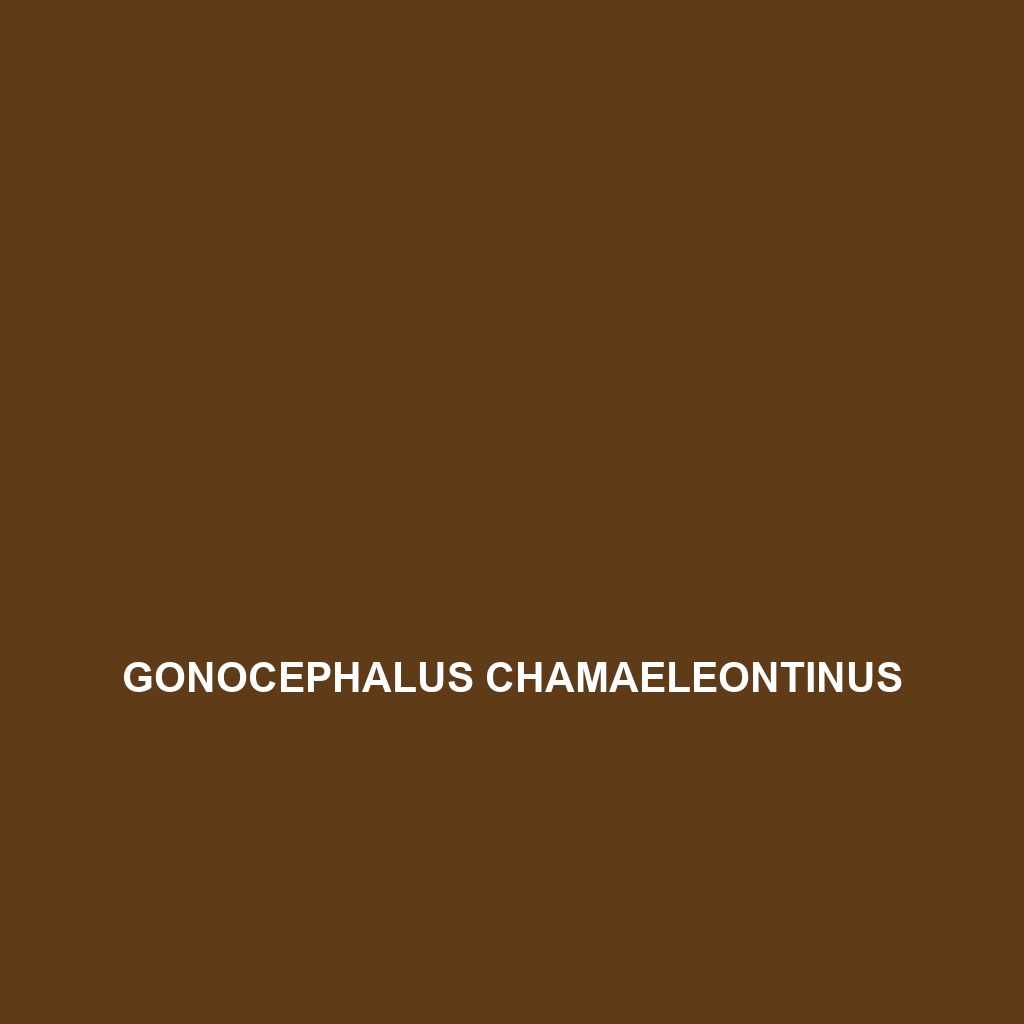 Gonocephalus chamaeleontinus