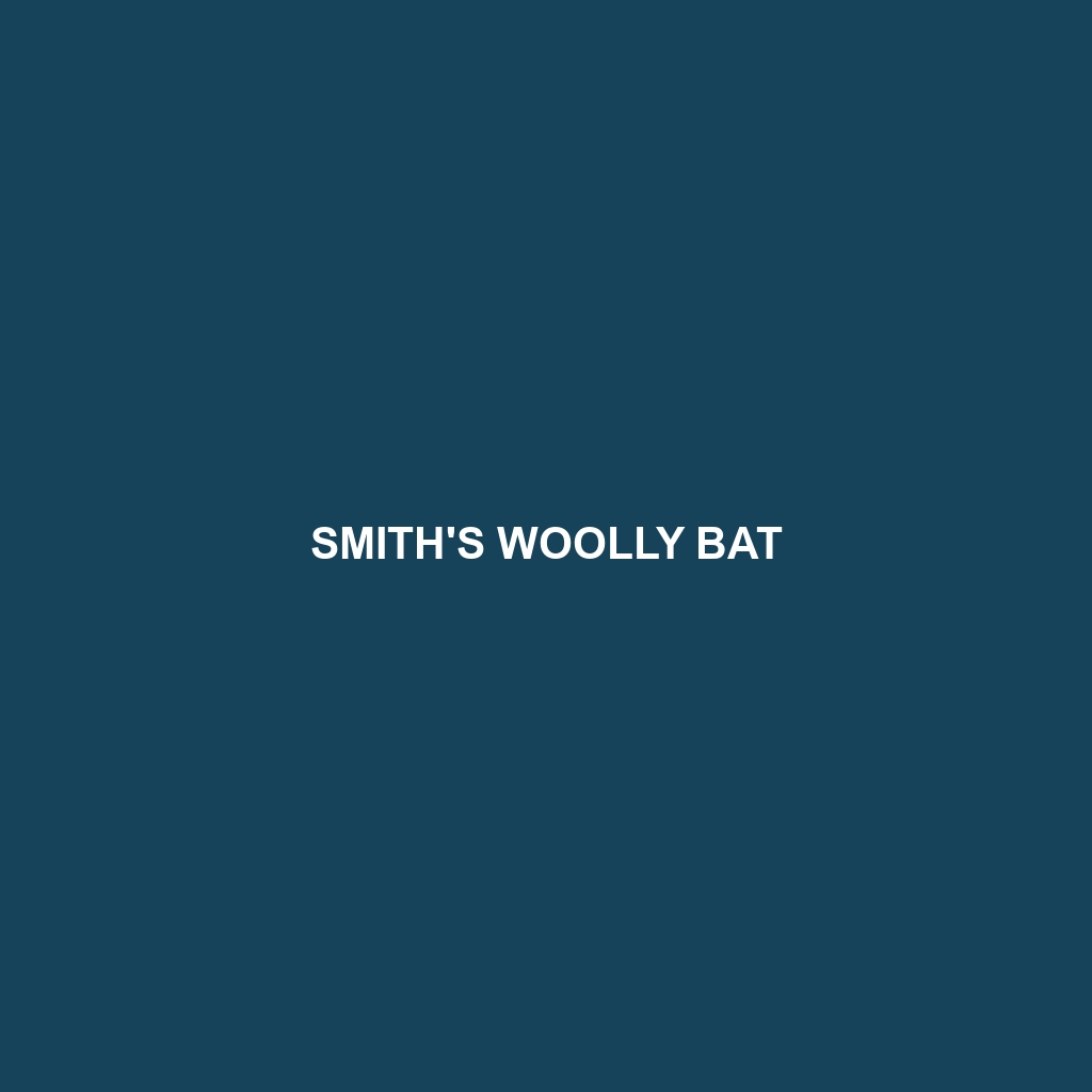 Smith's Woolly Bat