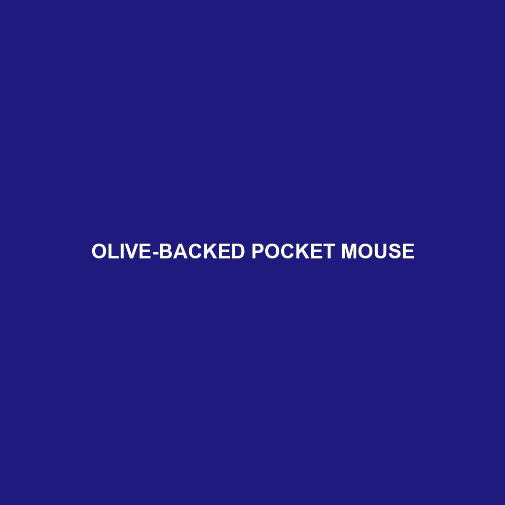 Olive-backed Pocket Mouse