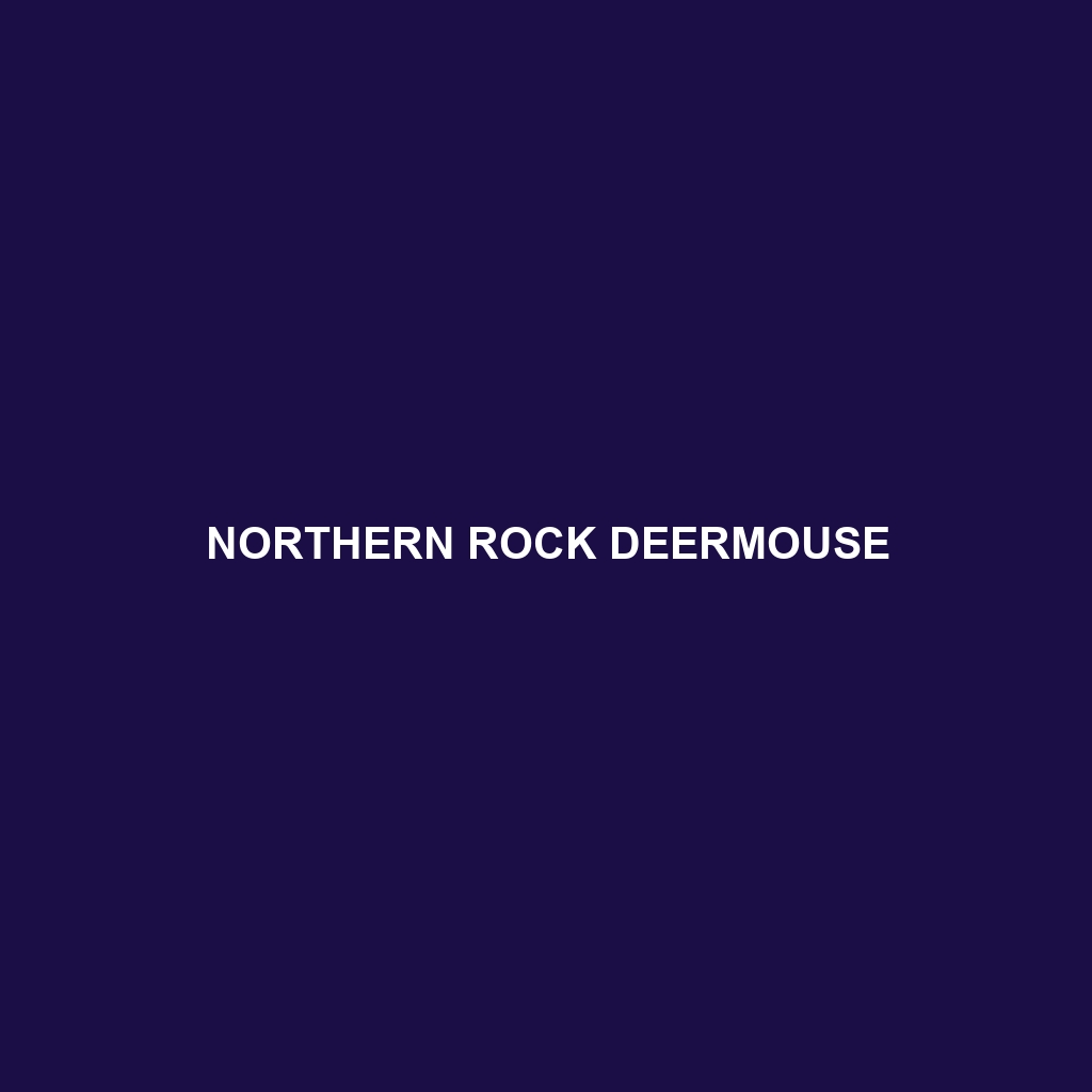 Northern Rock Deermouse