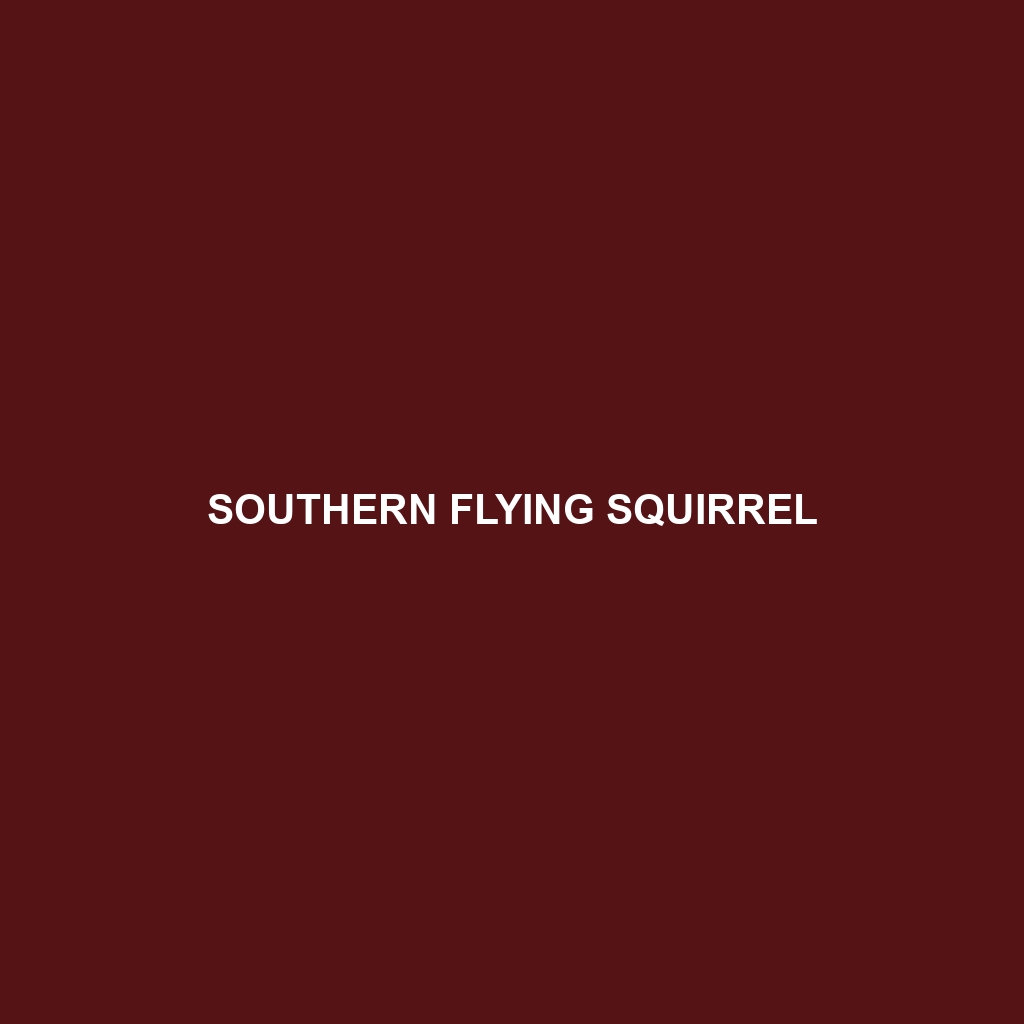 Southern Flying Squirrel