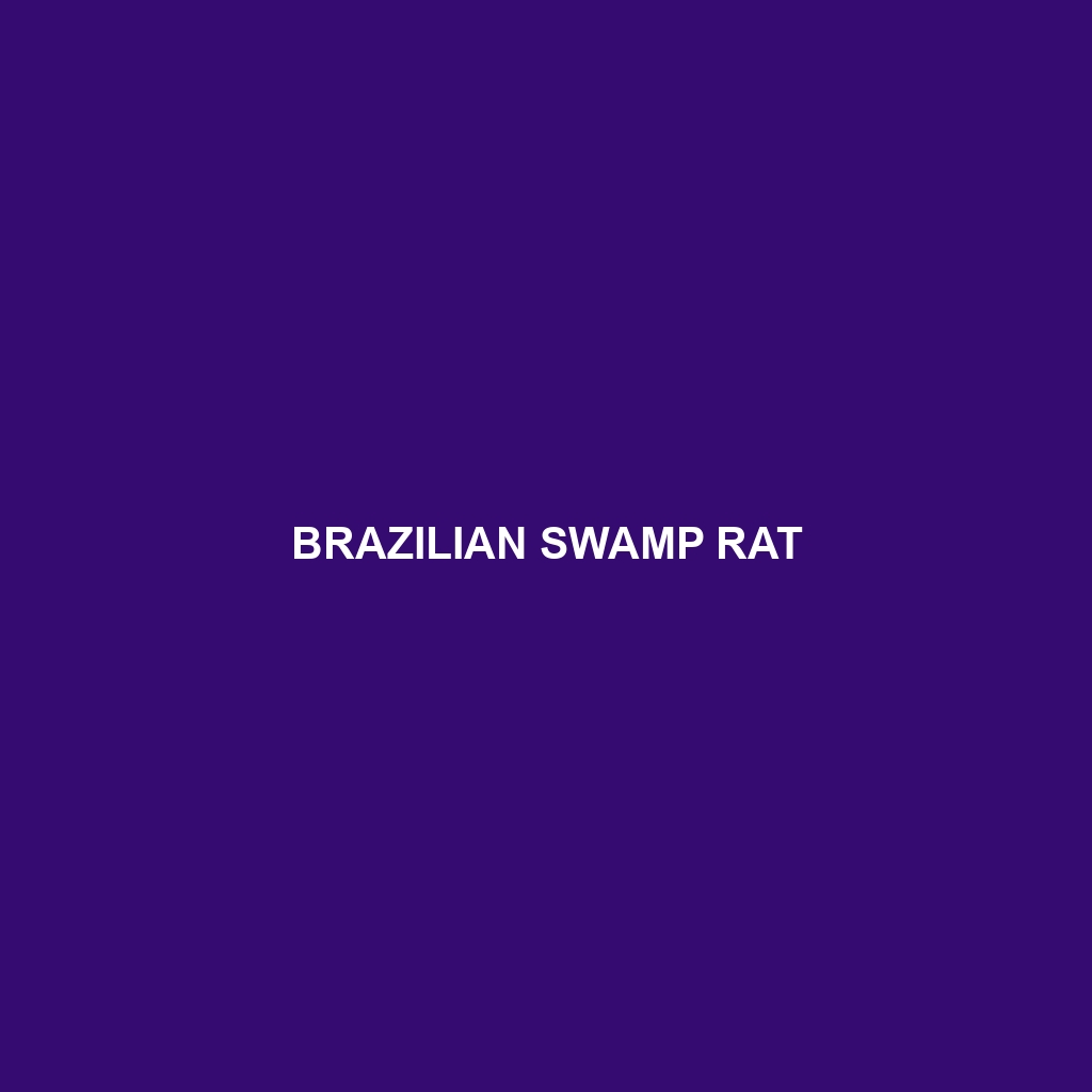 Brazilian Swamp Rat