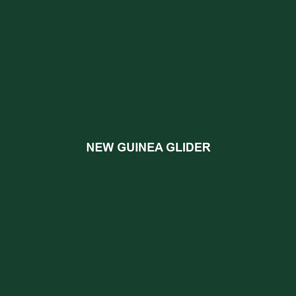 New Guinea Glider