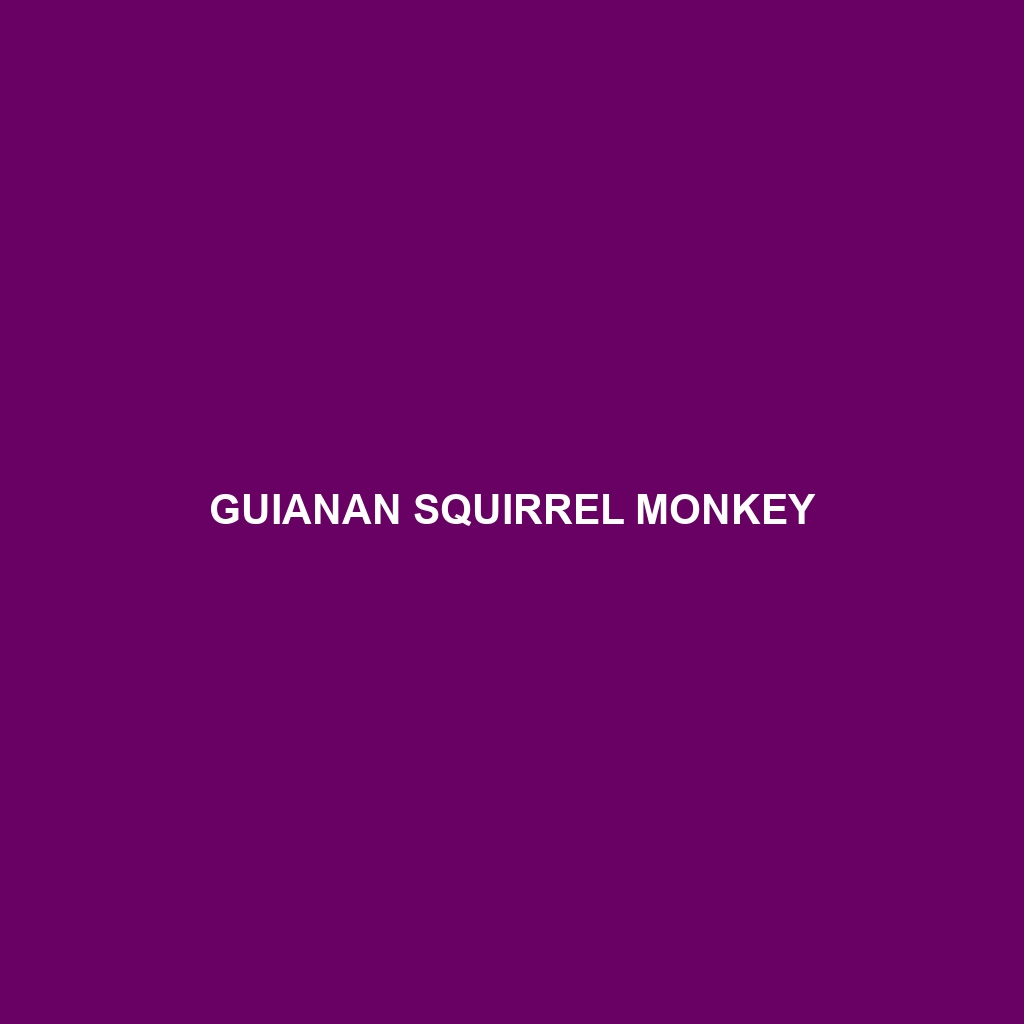 Guianan Squirrel Monkey