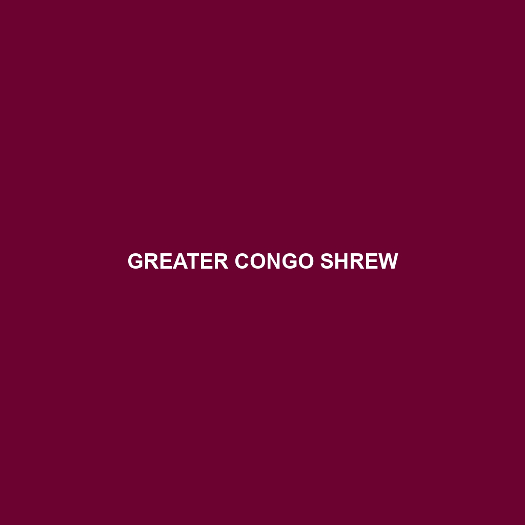 Greater Congo Shrew