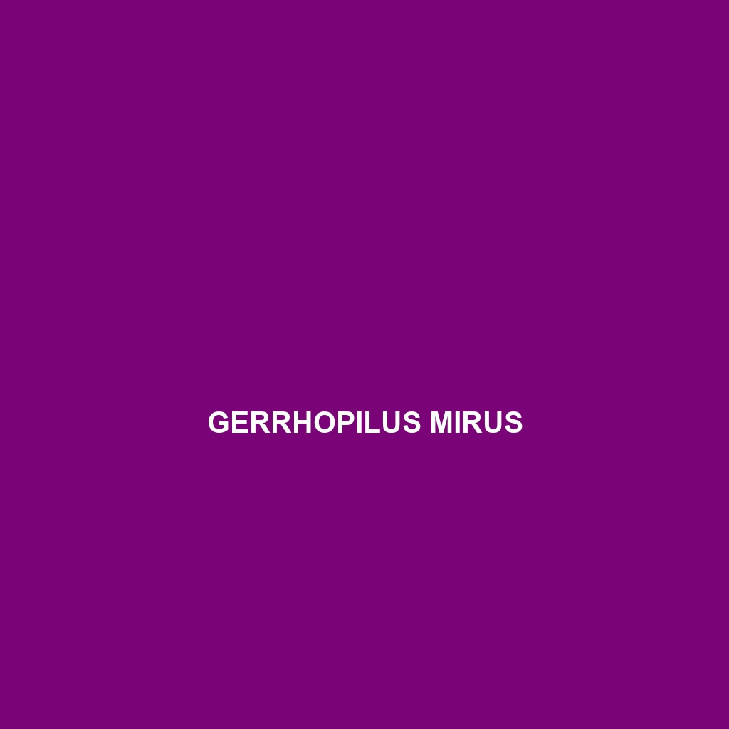 Gerrhopilus mirus