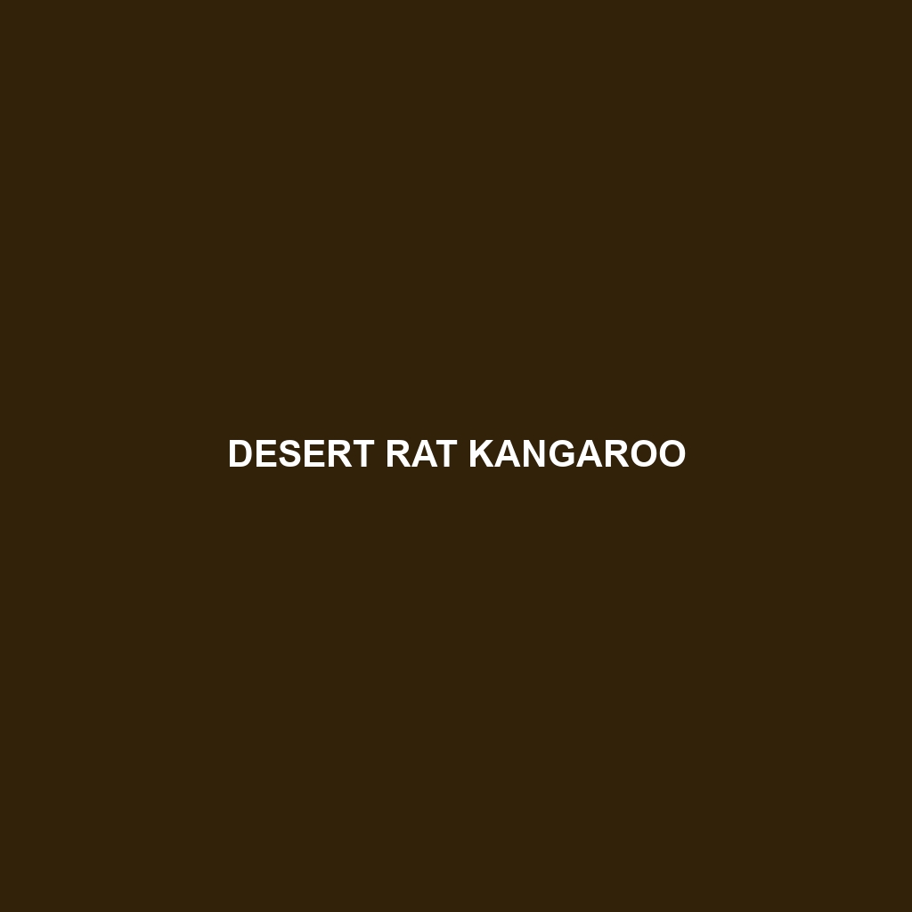 Desert Rat Kangaroo