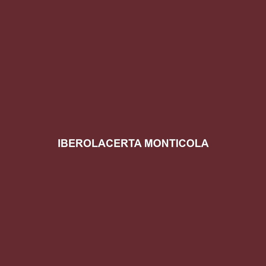 Iberolacerta monticola