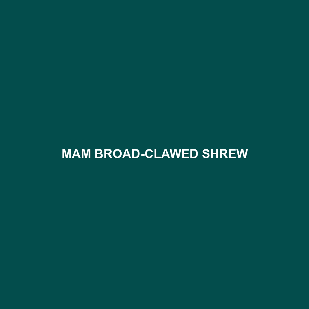 Mam Broad-clawed Shrew