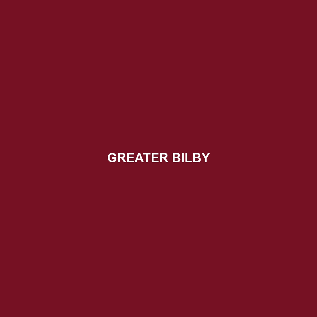 Greater Bilby