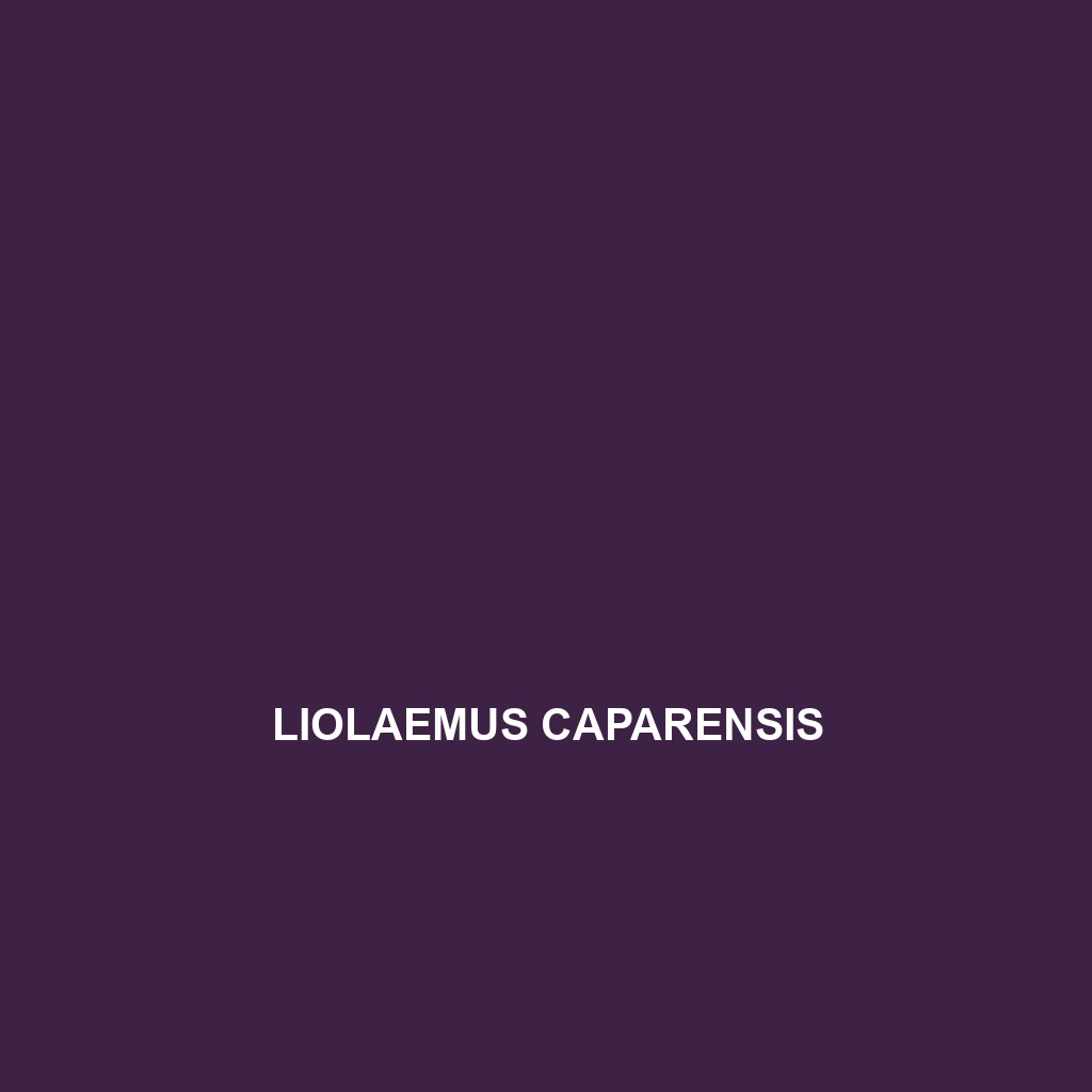 Liolaemus caparensis