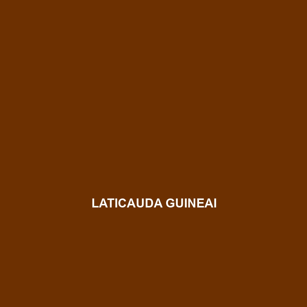 Laticauda guineai